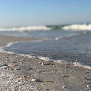 Meet your Posher, Lynn